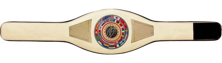 WRESTLING CHAMPIONSHIP BELT PROFLAG2/FLAG/G/WRESTGEM - VARIETY OF LEATHER COLOURS AVAILABLE WRESTLING CHAMPIONSHIP BELT PROFLAG2/FLAG/G/WRESTGEM - VARIETY OF LEATHER COLOURS AVAILABLE